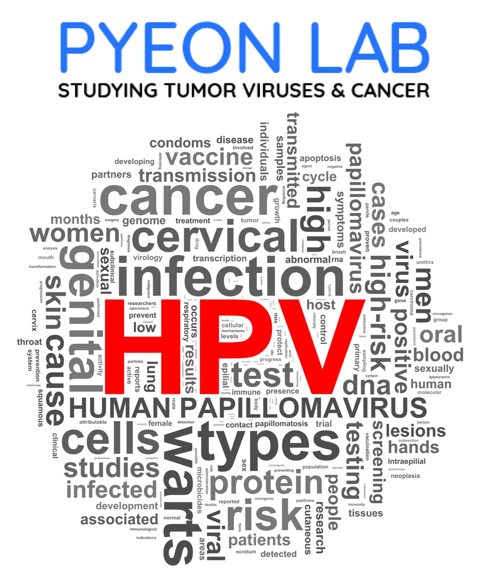 تست hpv