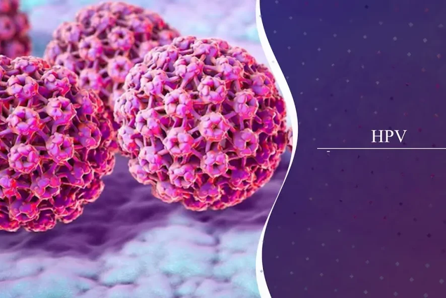 تست hpv