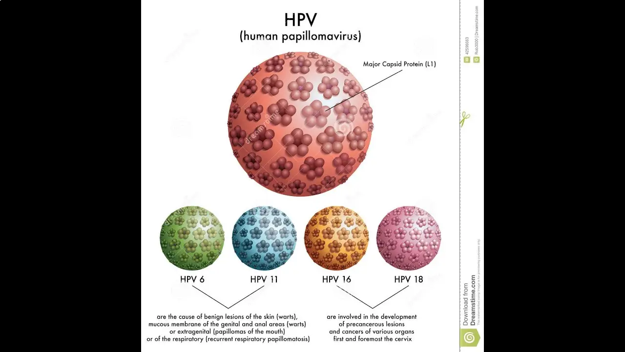 تست hpv