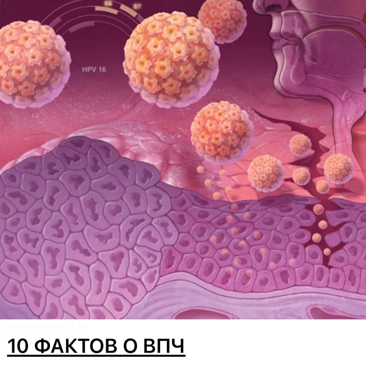 تست hpv