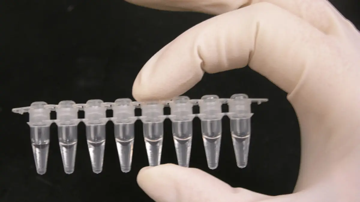 آزمایشگاه هایی که تست pcr میگیرند