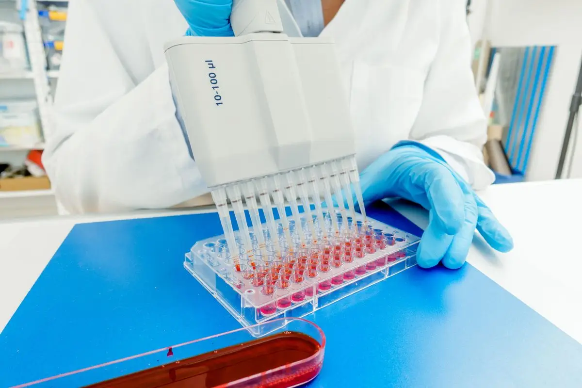 آزمایشگاه های تست pcr در تهران