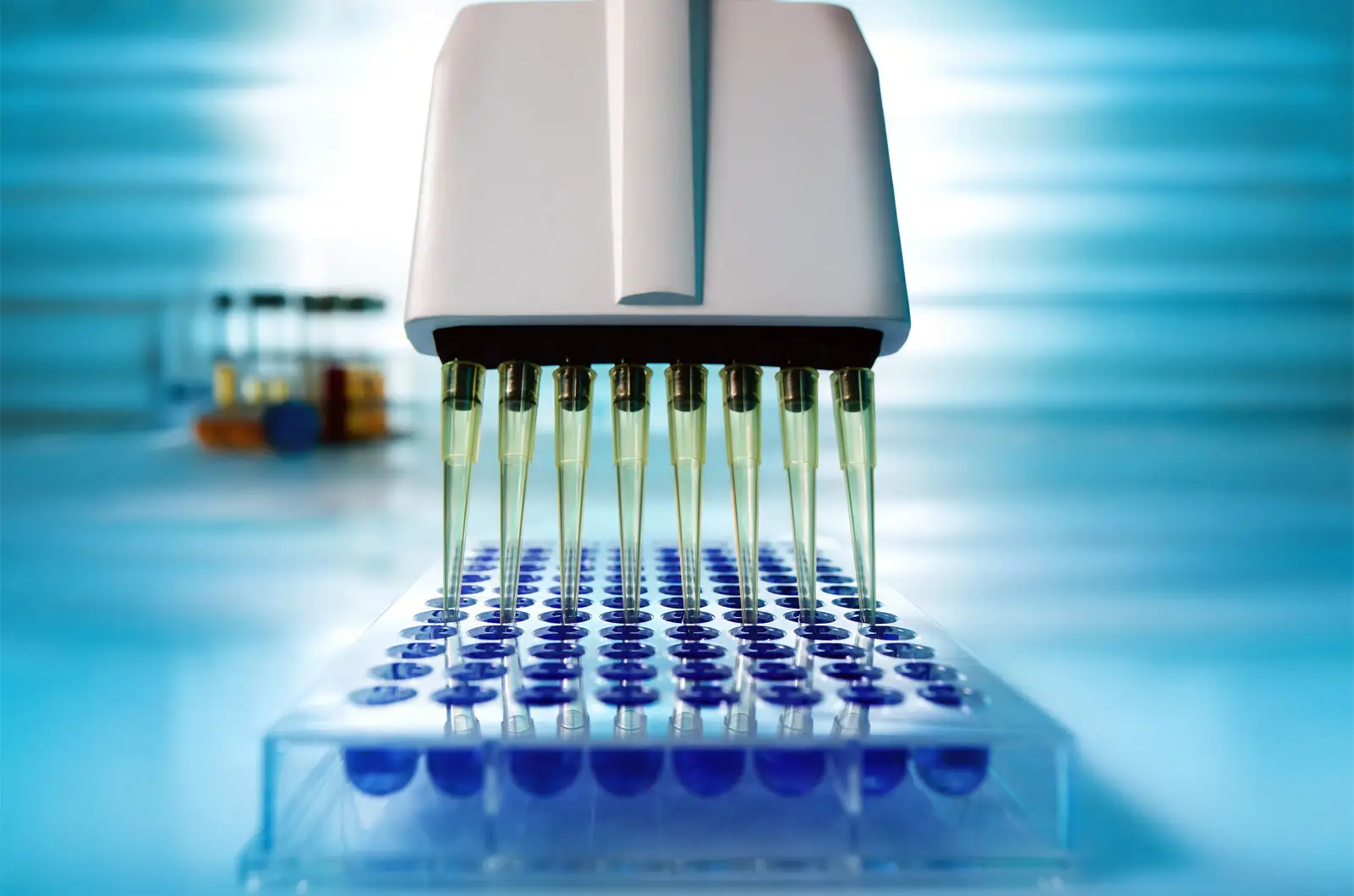 آزمایشگاه هایی که تست pcr میگیرند